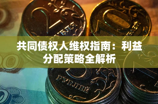 北京共同债权人维权指南：利益分配策略全解析